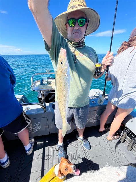 fishing online hastings|Fishingonlineau .